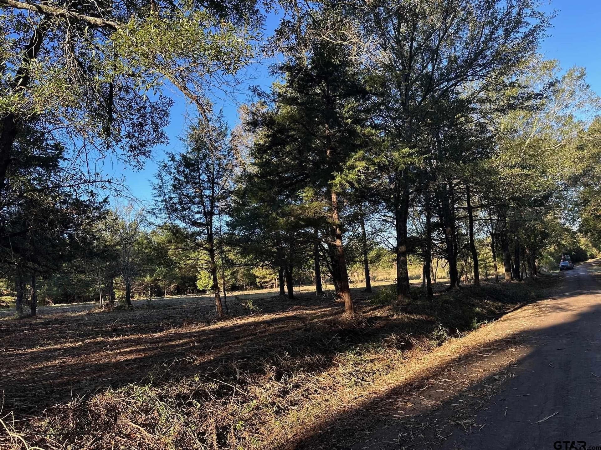 10.8 acres in Panola County - photo 2
