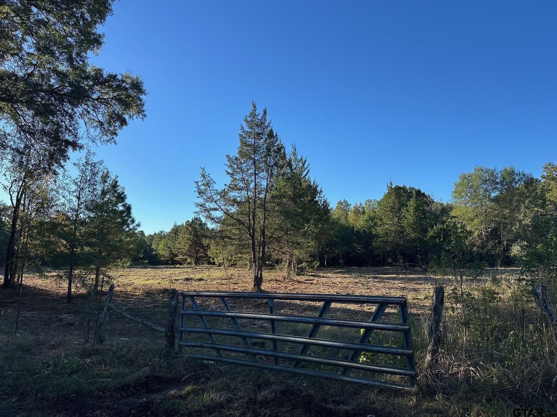 10.8 acres in Panola County - photo 4