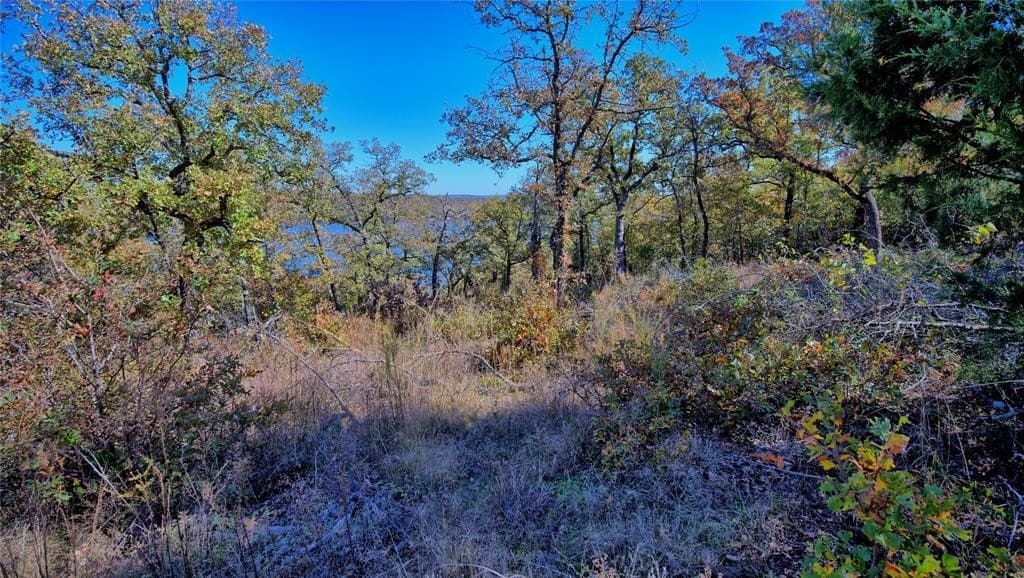 1.17 acres in Montague County - photo 5