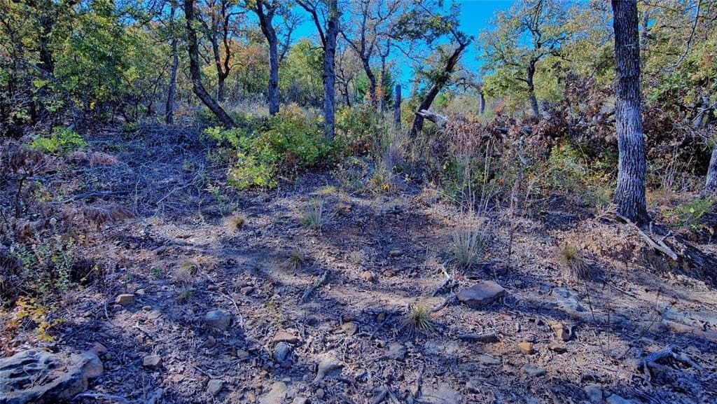 1.17 acres in Montague County - photo 3