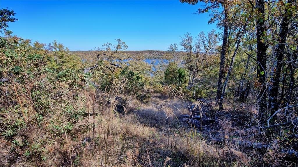 1.17 acres in Montague County - photo 17