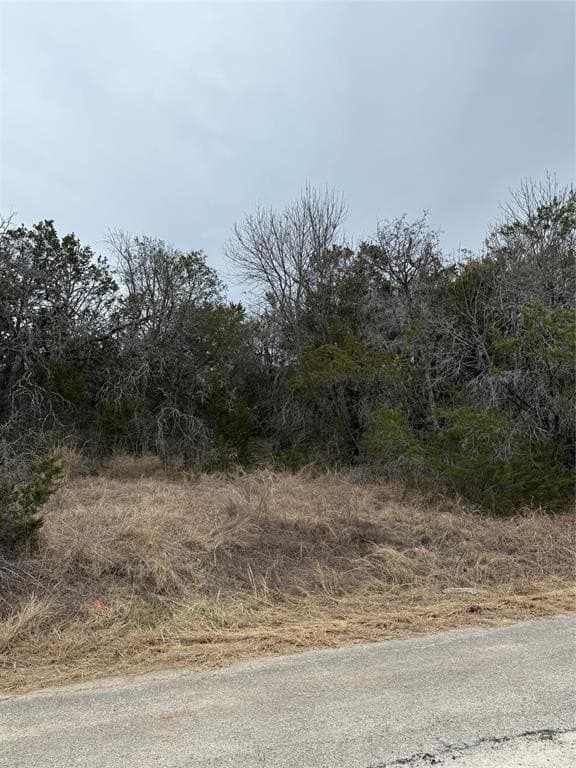 0.09 acres in Hood County - photo 5