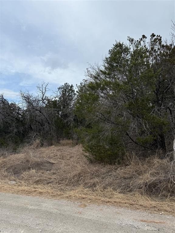 0.09 acres in Hood County - photo 2