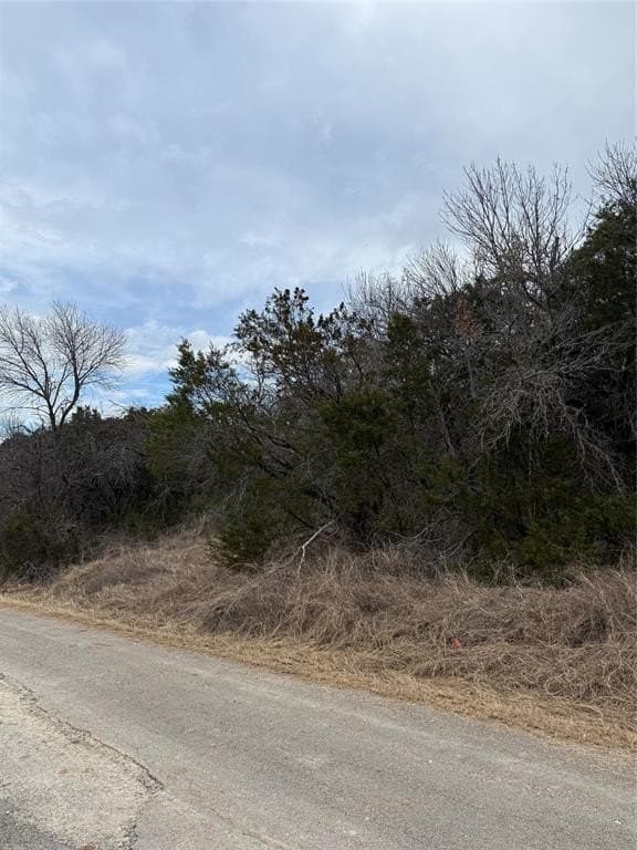 0.09 acres in Hood County - photo 3