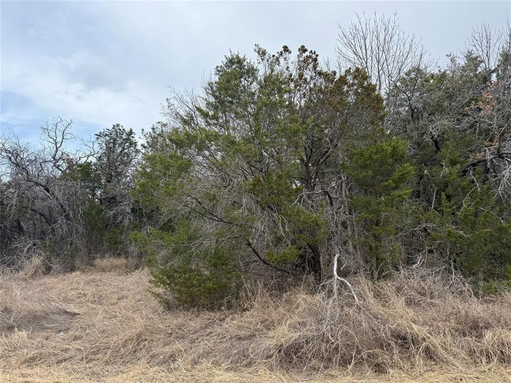 0.09 acres in Hood County - photo 4