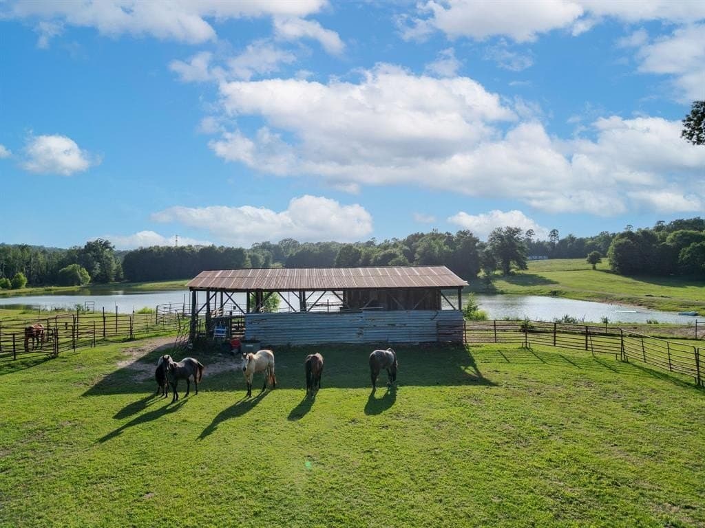31.2 acres in Cass County - photo 33