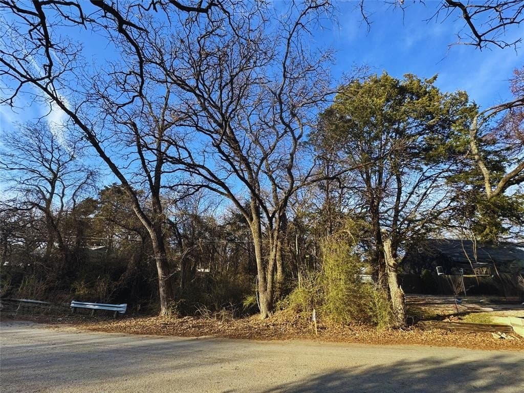 0.46 acres in Dallas County - photo 2