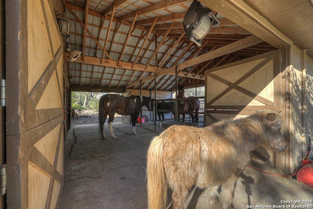 5 acres in Comal County - photo 9