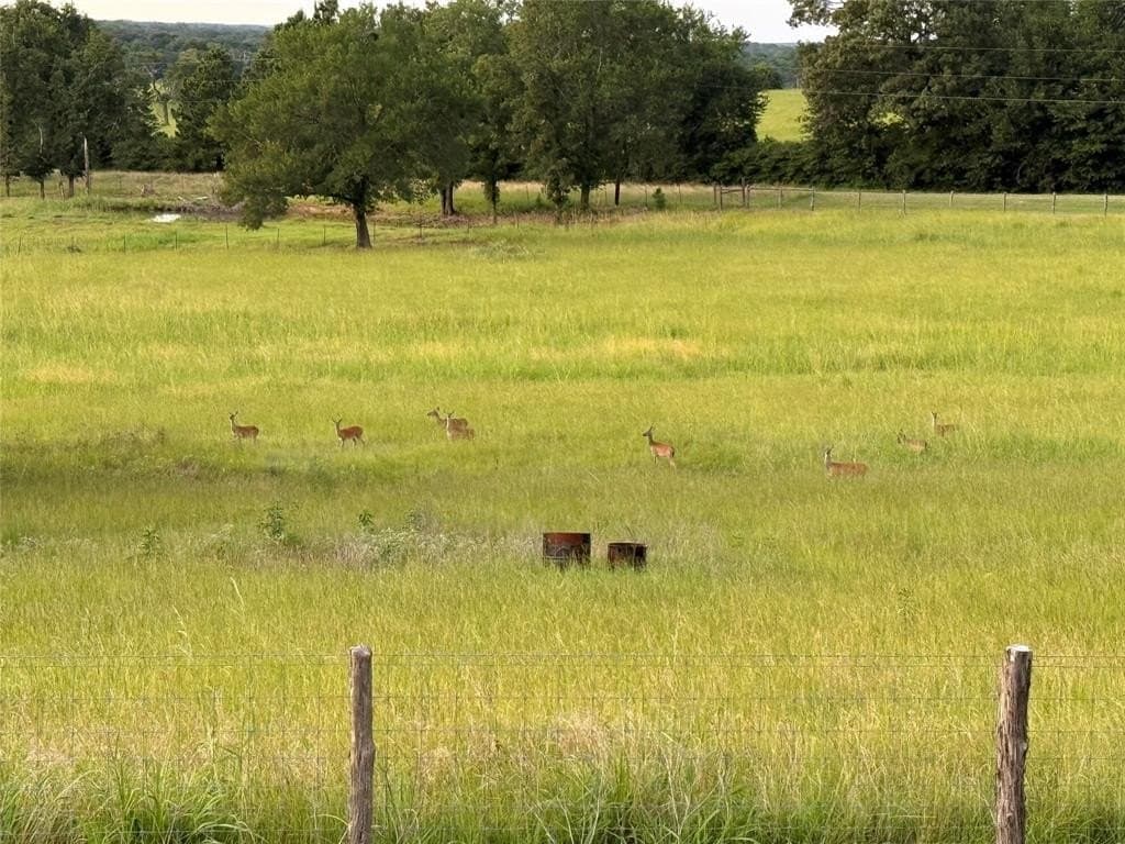 10.04 acres in Leon County - photo 29