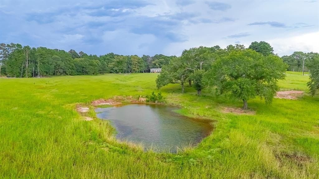 10.04 acres in Leon County - photo 21