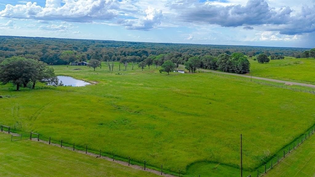10.04 acres in Leon County - photo 26