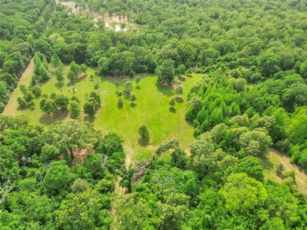 40 acres in Van Zandt County - photo 8