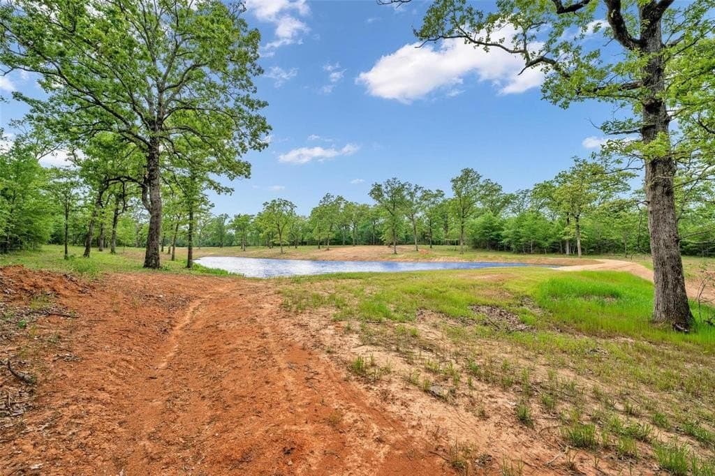 40 acres in Van Zandt County - photo 3