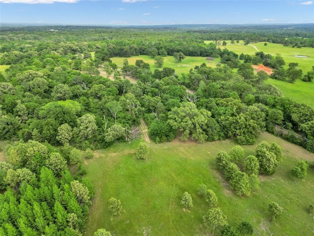 40 acres in Van Zandt County - photo 9