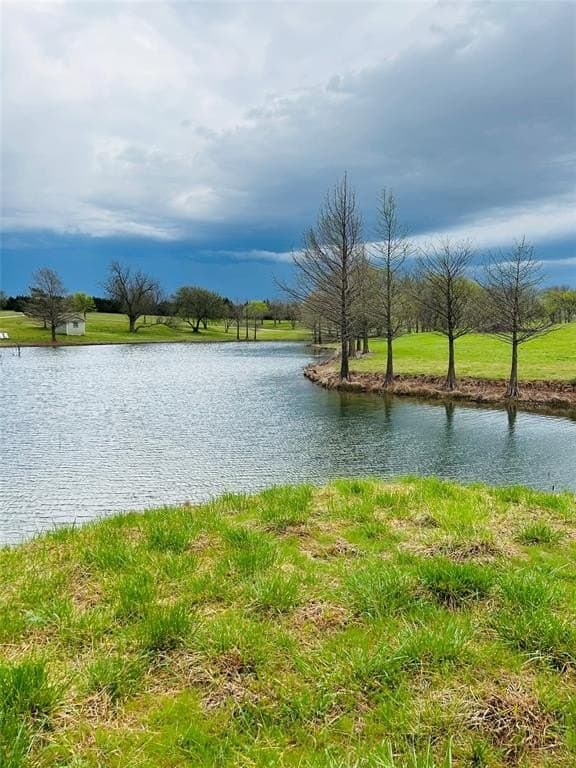 99.62 acres in Collin County - photo 12