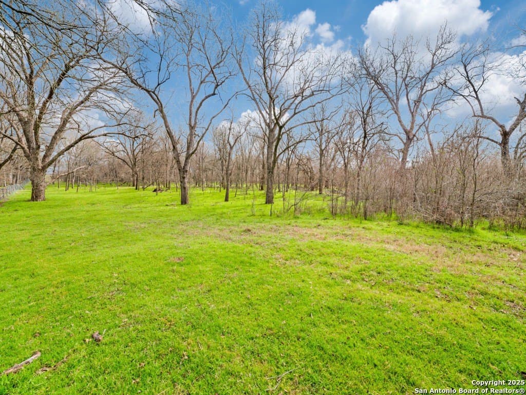 109.16 acres in Guadalupe County - photo 7