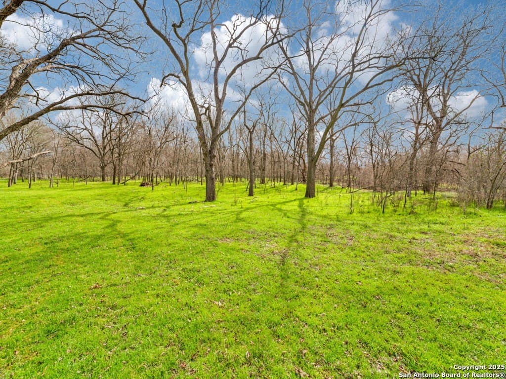 109.16 acres in Guadalupe County - photo 9