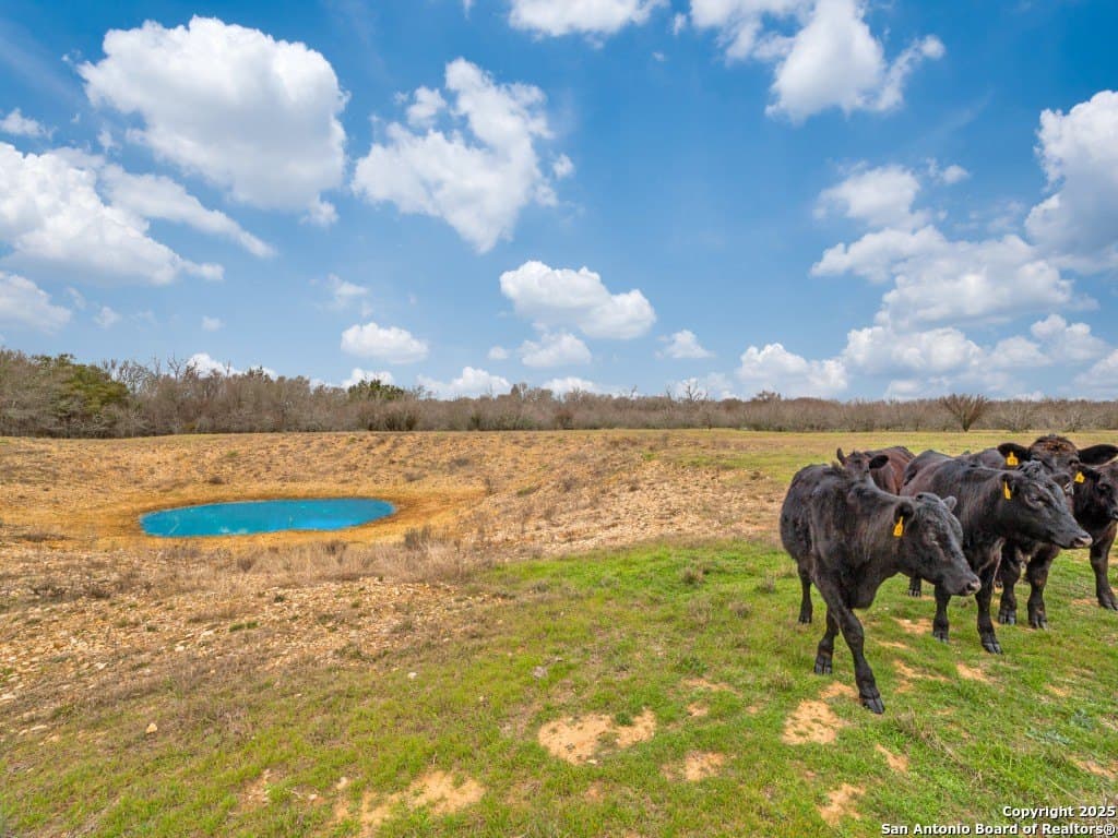 109.16 acres in Guadalupe County - photo 8