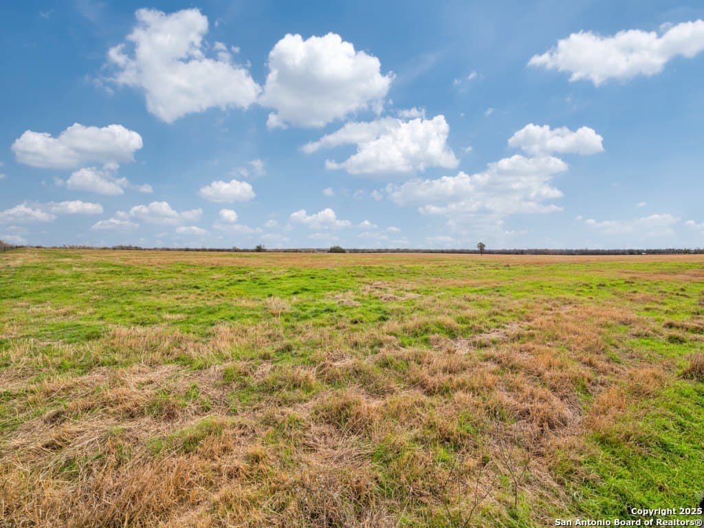 109.16 acres in Guadalupe County - photo 10