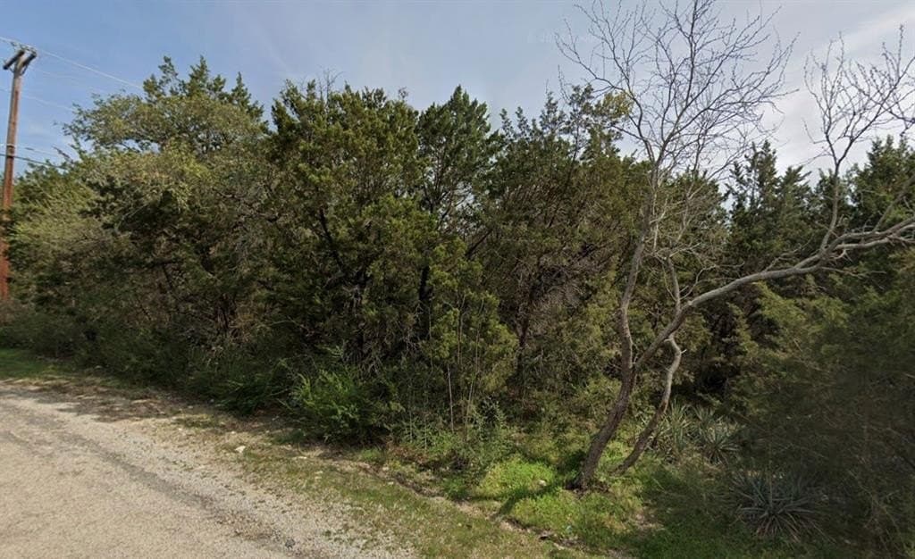 0.11 acres in Hood County - photo 6