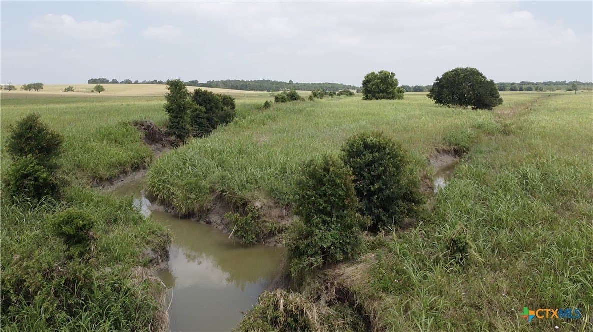 30 acres in Milam County - photo 5