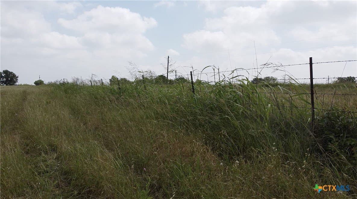 30 acres in Milam County - photo 4