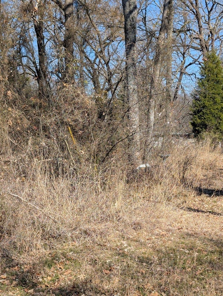 0.12 acres in Henderson County - photo 2