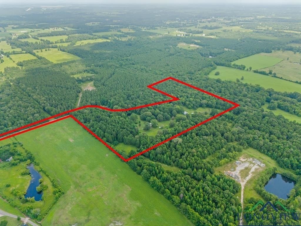 22.5 acres in Panola County - photo 47