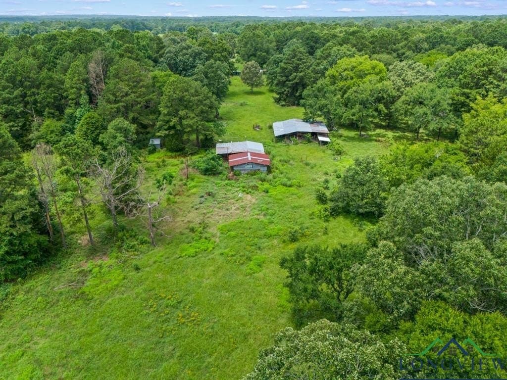 22.5 acres in Panola County - photo 35