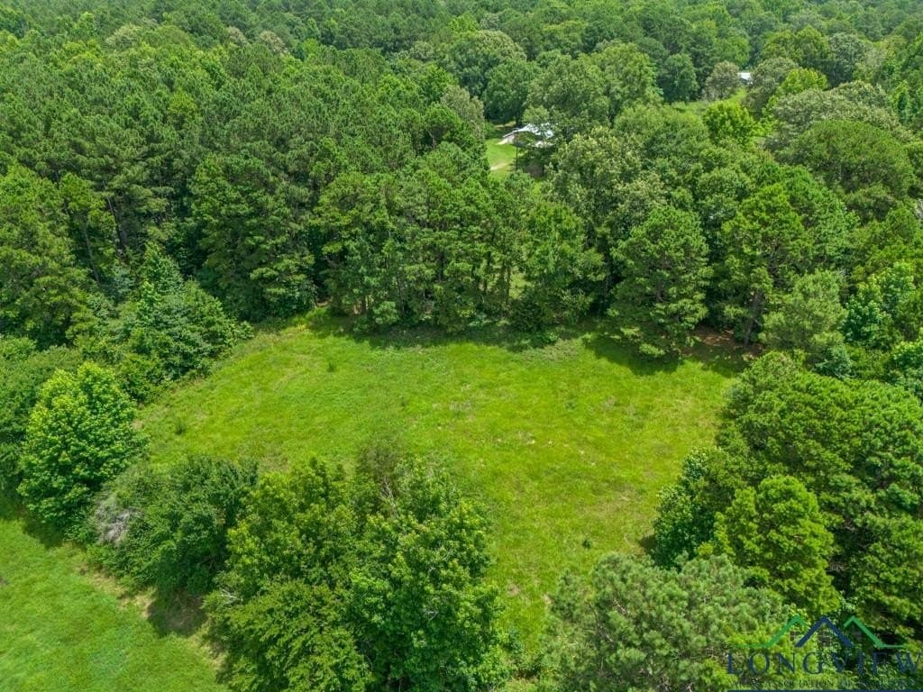 22.5 acres in Panola County - photo 42