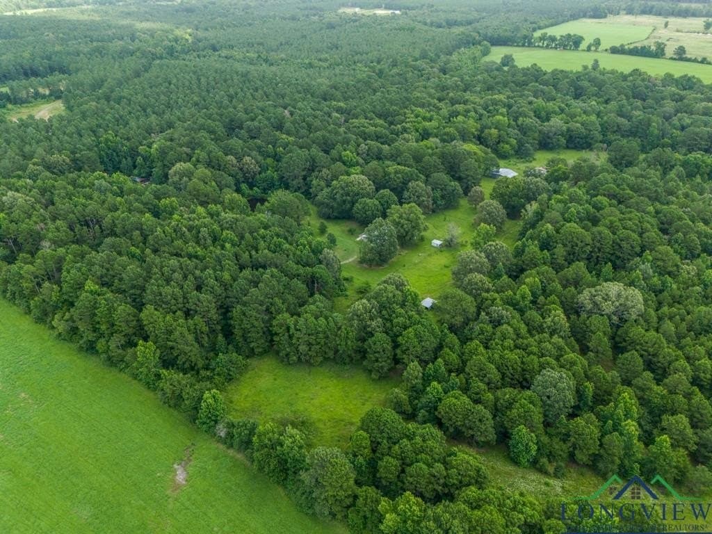 22.5 acres in Panola County - photo 36
