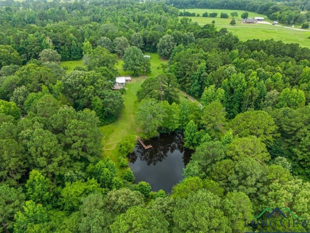 22.5 acres in Panola County - photo 33