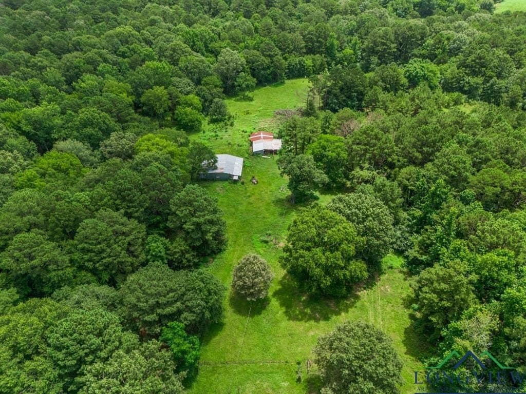 22.5 acres in Panola County - photo 34
