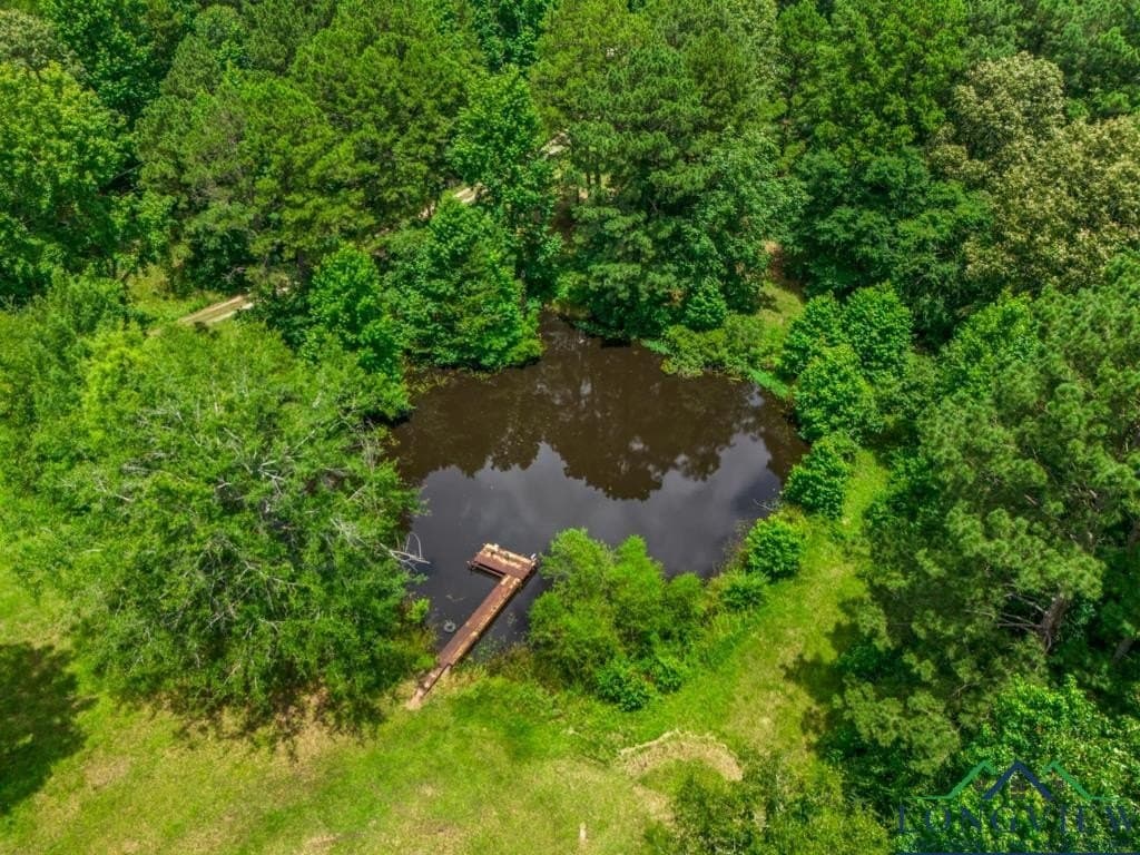 22.5 acres in Panola County - photo 32
