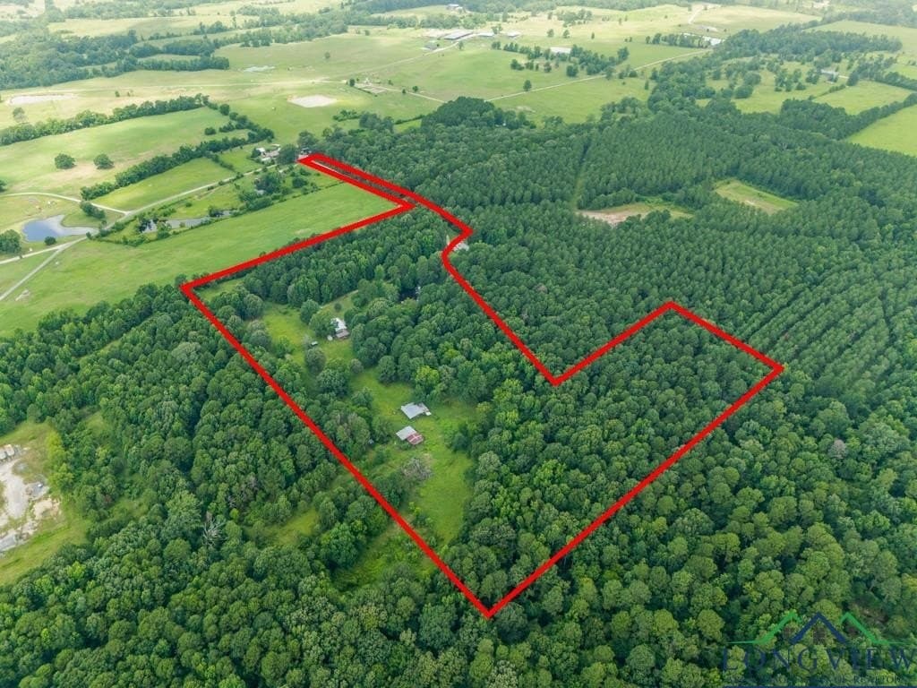 22.5 acres in Panola County - photo 48