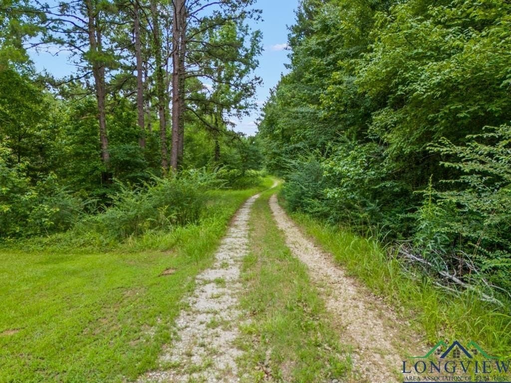 22.5 acres in Panola County - photo 44
