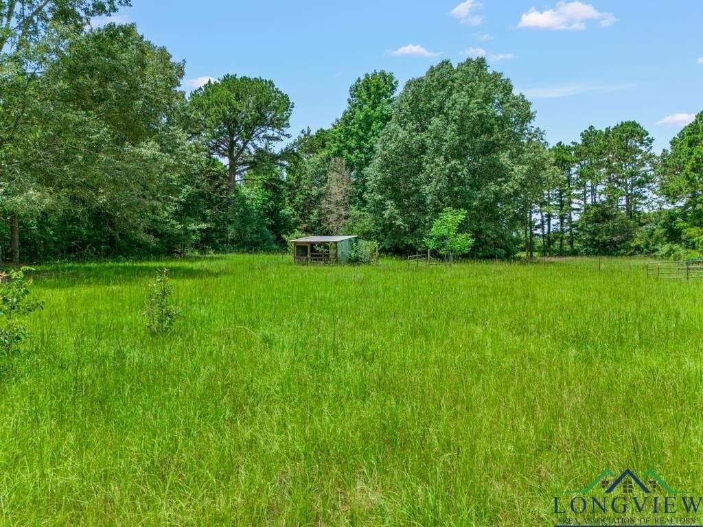 22.5 acres in Panola County - photo 40