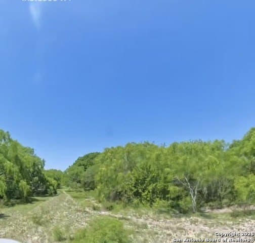 20 acres in Karnes County - photo 6