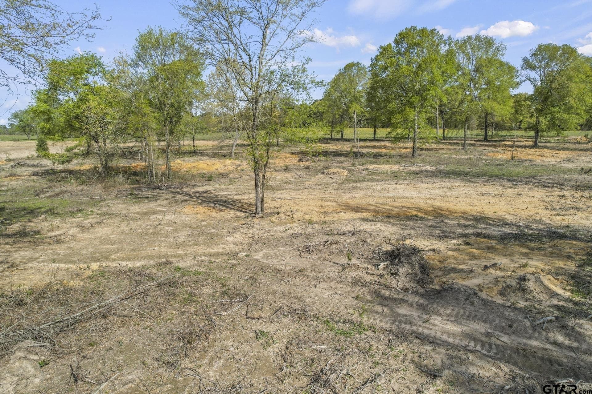 44.47 acres in Titus County - photo 4