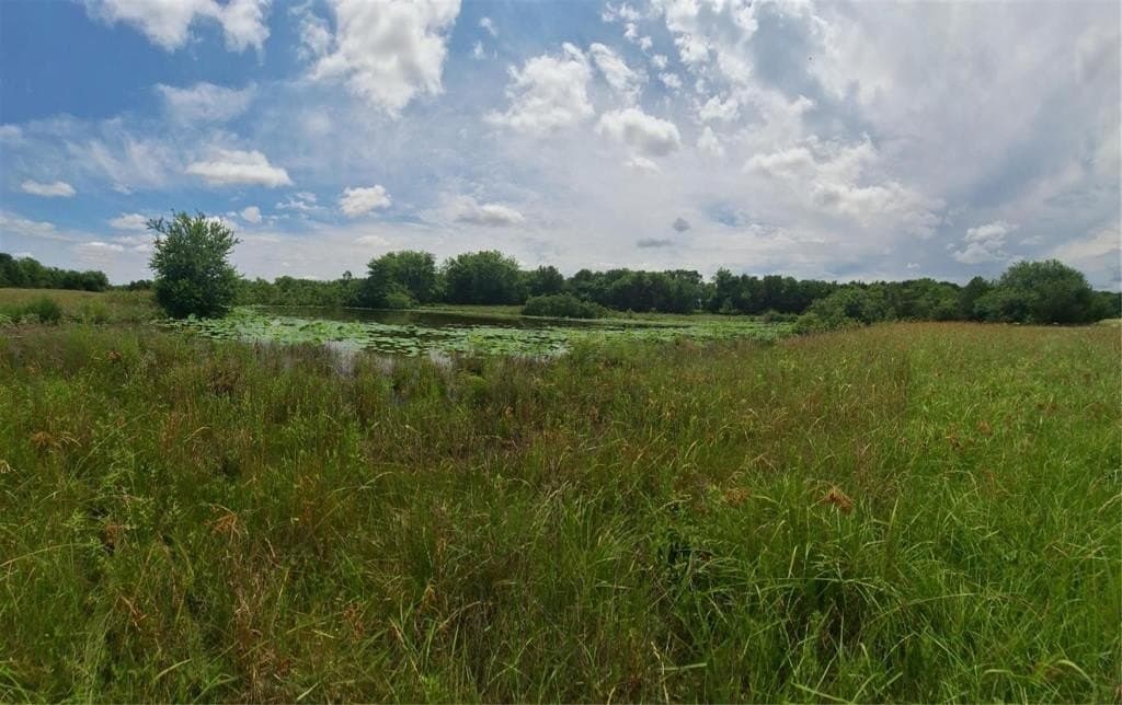 120.54 acres in Fannin County - photo 21