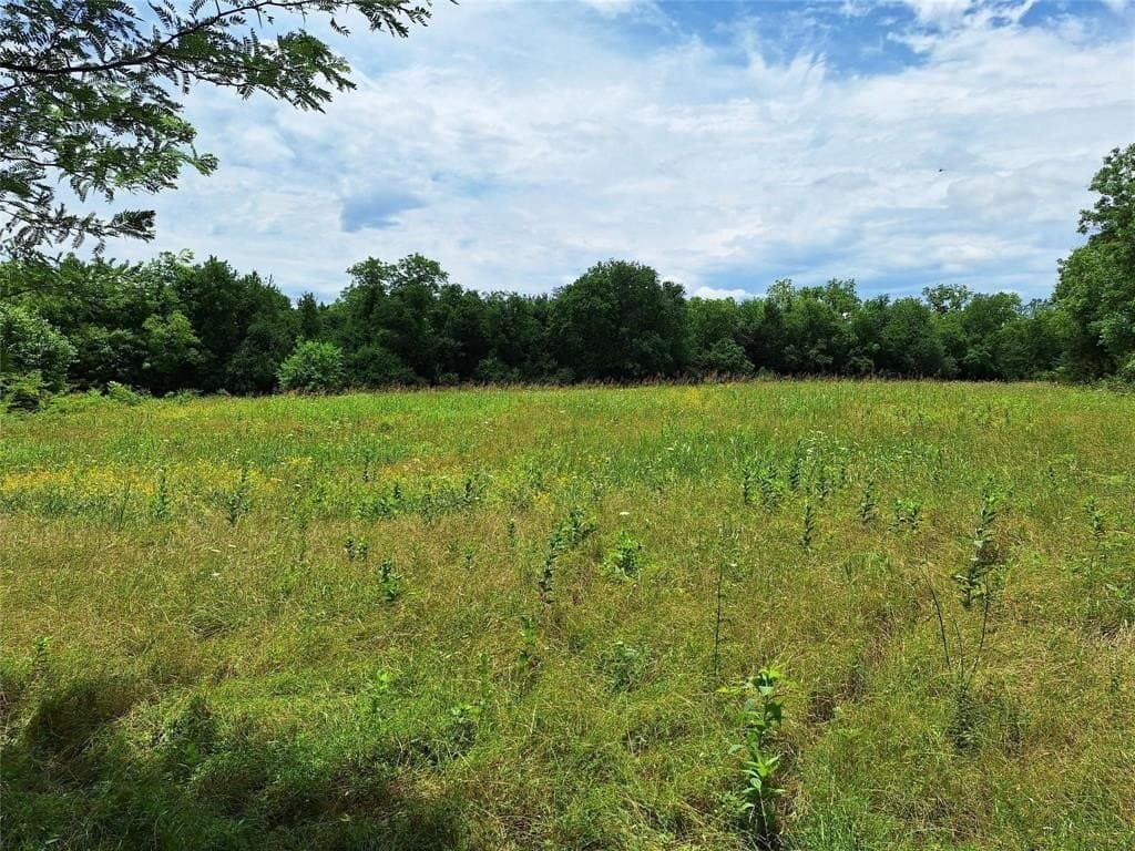 120.54 acres in Fannin County - photo 7