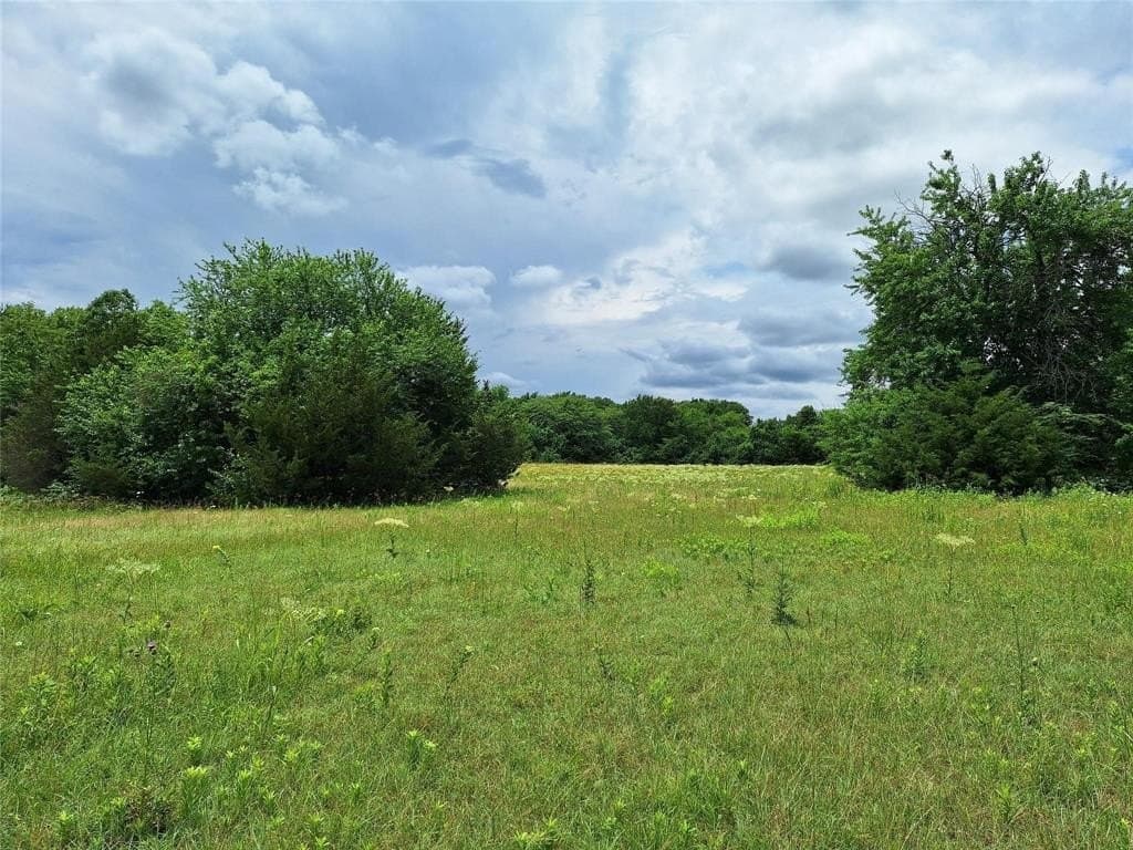 120.54 acres in Fannin County - photo 25