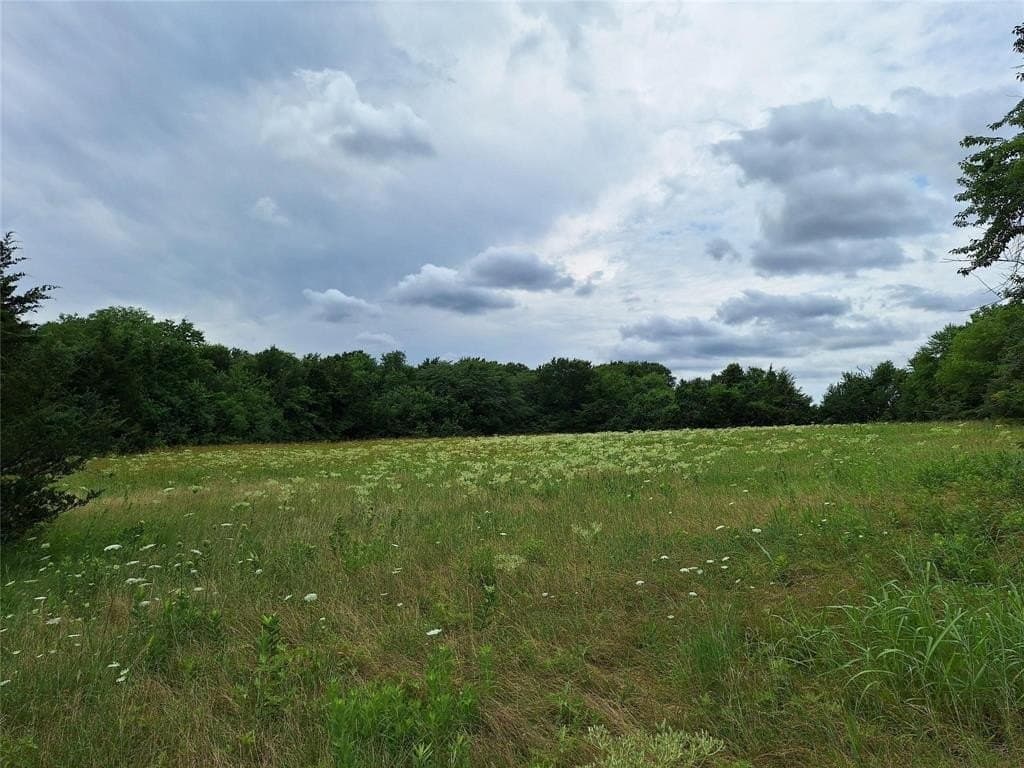 120.54 acres in Fannin County - photo 27