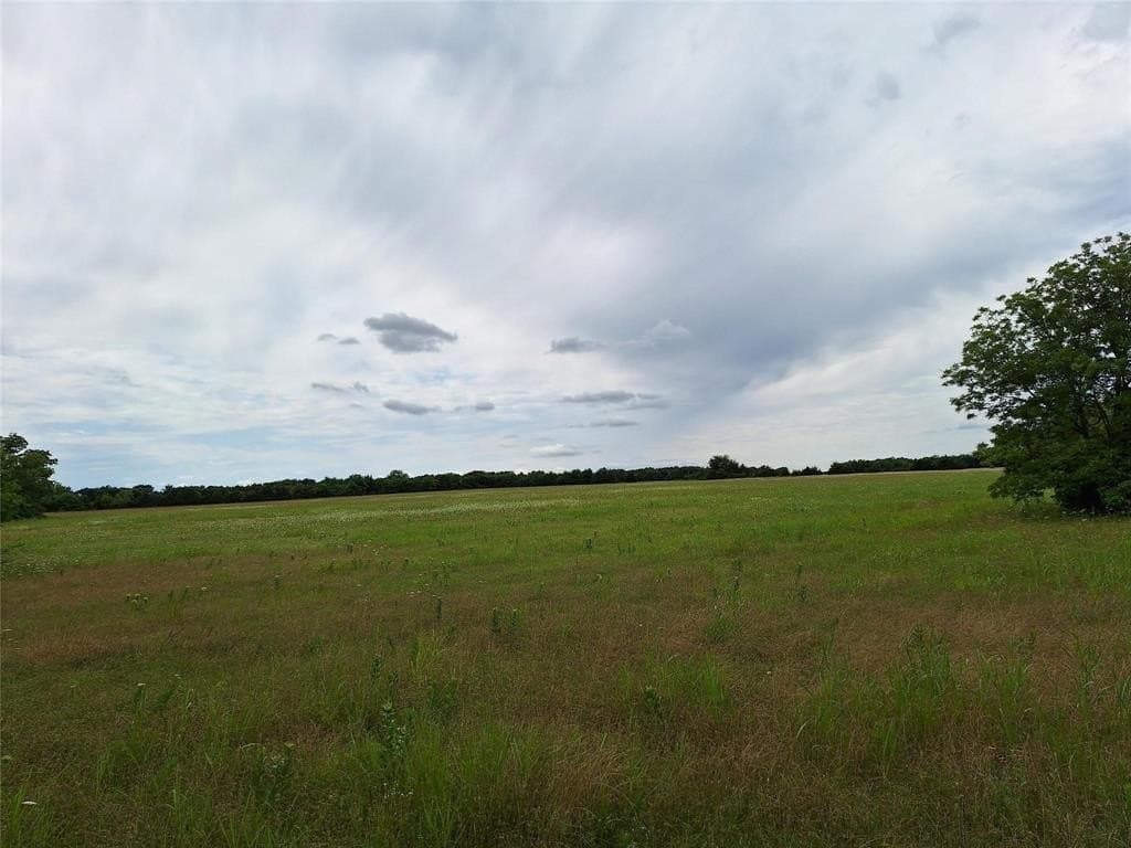 120.54 acres in Fannin County - photo 17