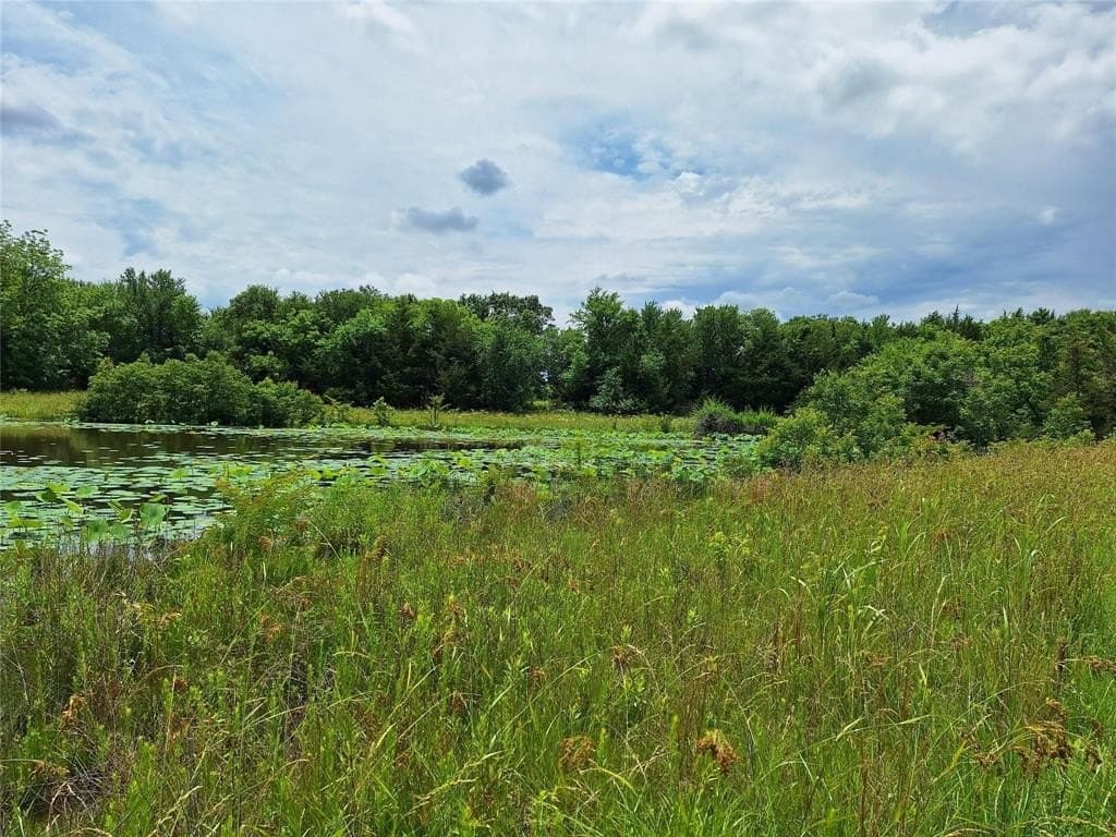 120.54 acres in Fannin County - photo 20
