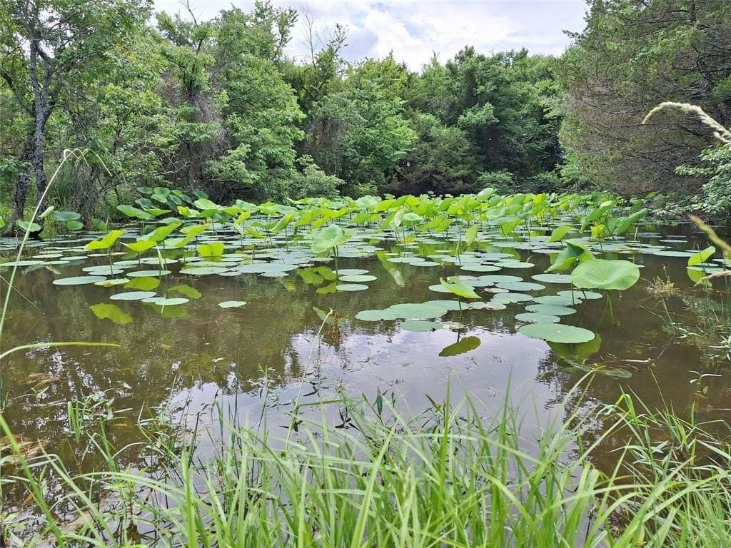 120.54 acres in Fannin County - photo 26