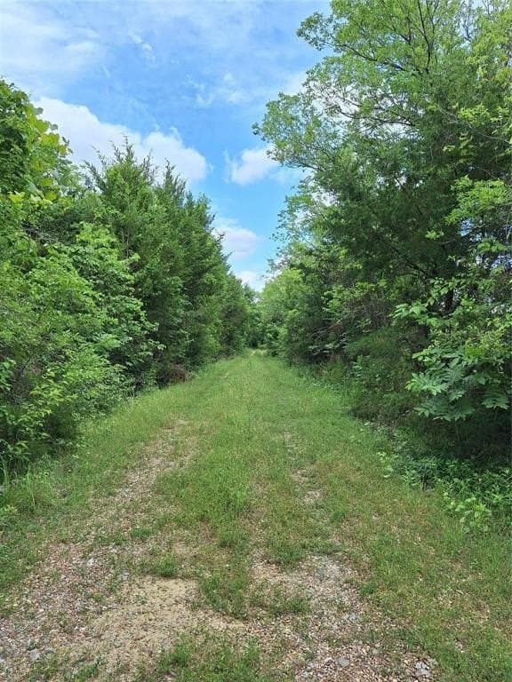 120.54 acres in Fannin County - photo 30