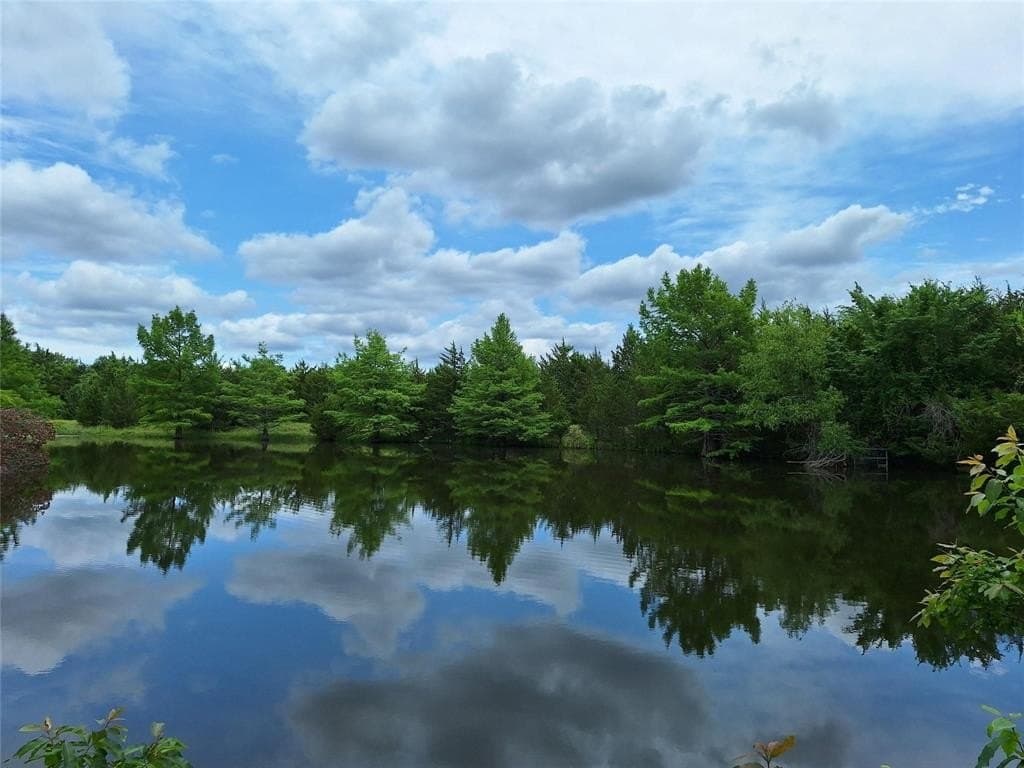 120.54 acres in Fannin County - photo 3
