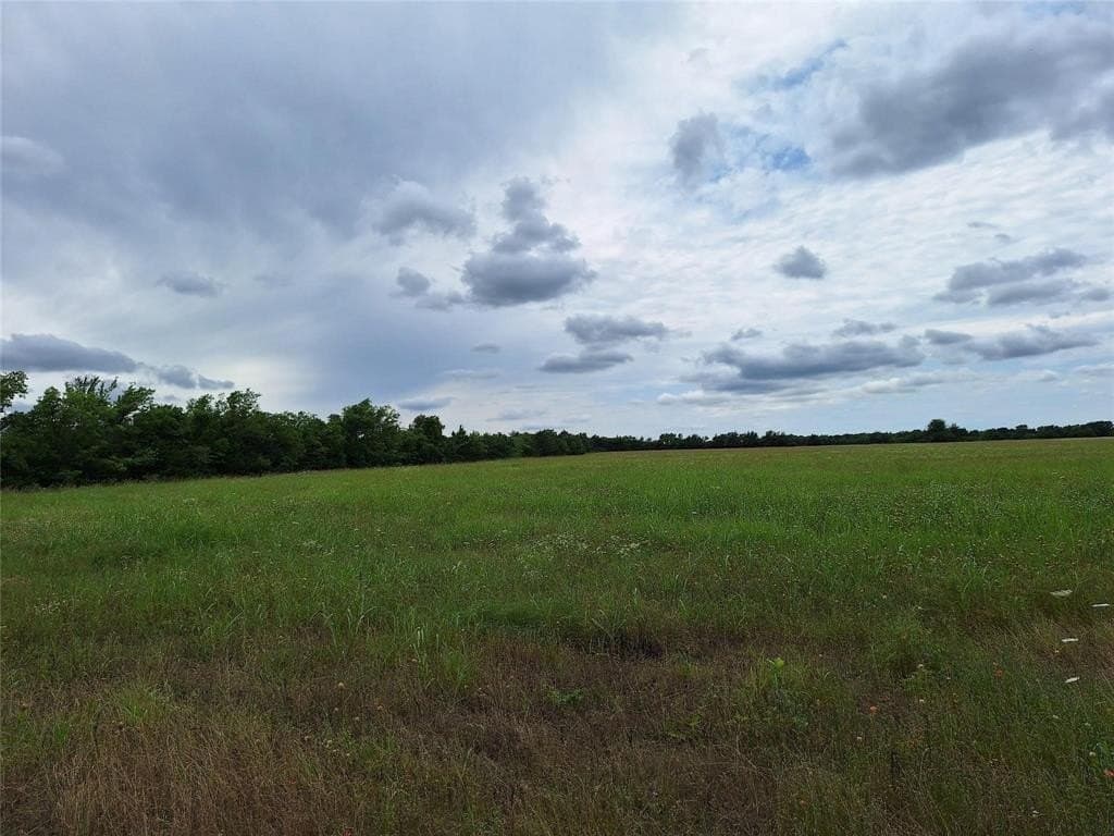 120.54 acres in Fannin County - photo 29