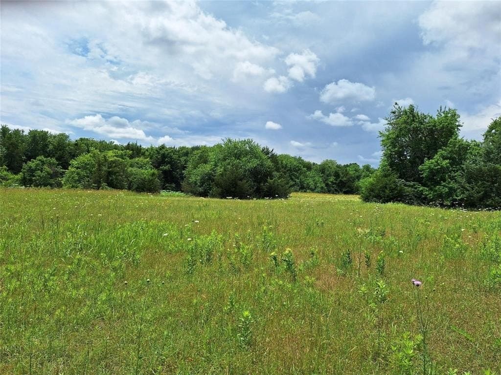 120.54 acres in Fannin County - photo 19